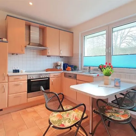 Loewenzahn * Diemitz (Mecklenburgische Seenplatte)