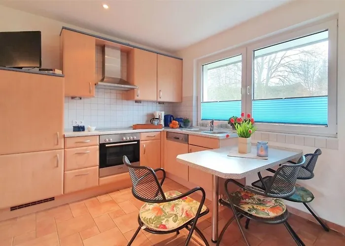 Loewenzahn * Diemitz (Mecklenburgische Seenplatte)